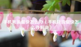 手机耗流量快怎么办（手机耗流量快怎么办解决）