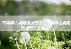 苹果手机视频添加音乐（苹果手机视频添加音乐怎么弄）