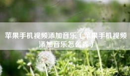 苹果手机视频添加音乐（苹果手机视频添加音乐怎么弄）