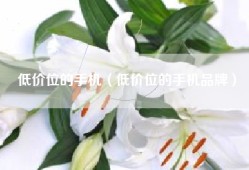 低价位的手机（低价位的手机品牌）
