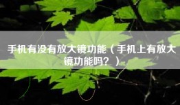 手机有没有放大镜功能（手机上有放大镜功能吗？）