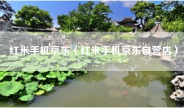 红米手机京东（红米手机京东自营店）