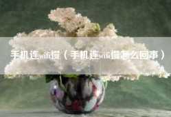 手机连wifi慢（手机连wifi慢怎么回事）