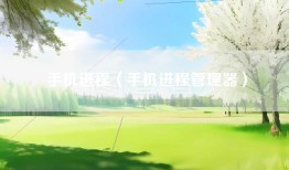 手机进程（手机进程管理器）