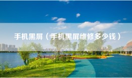 手机黑屏（手机黑屏维修多少钱）
