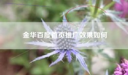 金华百度首页推广效果如何