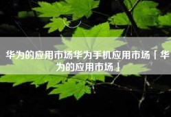 华为的应用市场华为手机应用市场「华为的应用市场」