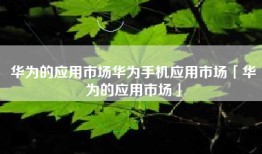 华为的应用市场华为手机应用市场「华为的应用市场」