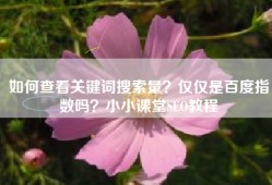 如何查看关键词搜索量？仅仅是百度指数吗？小小课堂SEO教程