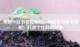 掌握小红书拾配技巧，轻松学习穿衣搭配，打造个性时尚风格