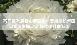 高质量发展看山西国企：晋能控股集团知责履责保安全 深化提升促发展