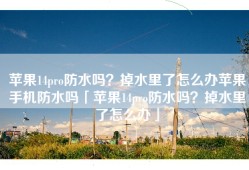 苹果14pro防水吗？掉水里了怎么办苹果手机防水吗「苹果14pro防水吗？掉水里了怎么办」