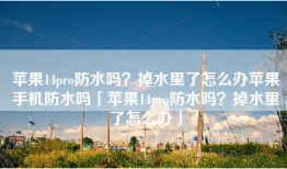 苹果14pro防水吗？掉水里了怎么办苹果手机防水吗「苹果14pro防水吗？掉水里了怎么办」