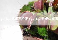 potplayer安卓手机版（potplayer安卓中文版）