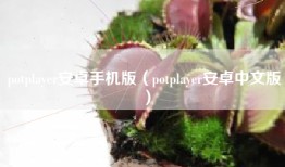 potplayer安卓手机版（potplayer安卓中文版）