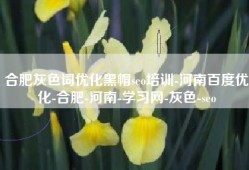 合肥灰色词优化黑帽seo培训-河南百度优化-合肥-河南-学习网-灰色-seo