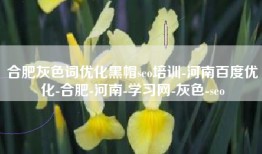 合肥灰色词优化黑帽seo培训-河南百度优化-合肥-河南-学习网-灰色-seo