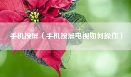 手机投屏（手机投屏电视如何操作）