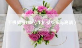 手机壁纸1080（手机壁纸1080p高清）