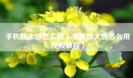 手机放大器怎么用（手机放大器怎么用视频教程）