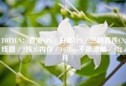 TOTYUN：香港VPS／日本VPS／三网直连CN2线路／2核2G内存／10Mbps不限流量／$12／月