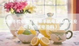苹果手机电量（苹果手机电量没用完充电会伤害电池吗）