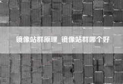 镜像站群原理_镜像站群哪个好