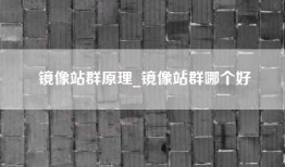 镜像站群原理_镜像站群哪个好