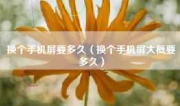 换个手机屏要多久（换个手机屏大概要多久）