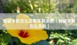 智能手机怎么关机手机关机「智能手机怎么关机」