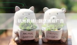 1. 杭州机场T3到达通廊广告