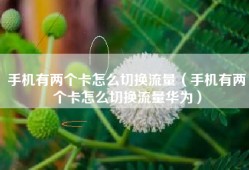 手机有两个卡怎么切换流量（手机有两个卡怎么切换流量华为）