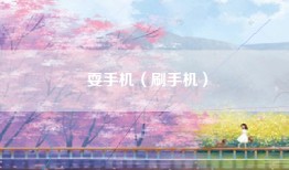 耍手机（刷手机）