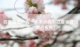 百度投放广告一天多少钱？百度快速排名，抢占先机！