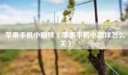 苹果手机小圆球（苹果手机小圆球怎么关）