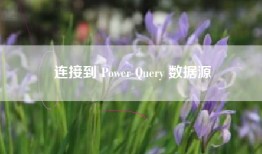 连接到 Power Query 数据源