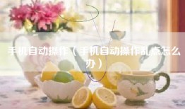 手机自动操作（手机自动操作乱点怎么办）