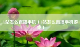 b站怎么直播手机（b站怎么直播手机游戏）
