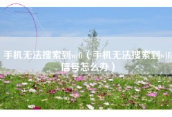 手机无法搜索到wifi（手机无法搜索到wifi信号怎么办）