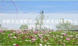 手机无法搜索到wifi（手机无法搜索到wifi信号怎么办）