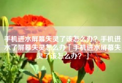 手机进水屏幕失灵了该怎么办？手机进水了屏幕失灵怎么办「手机进水屏幕失灵了该怎么办？」