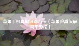 苹果手机真假识别方法（苹果验真假最简单办法）