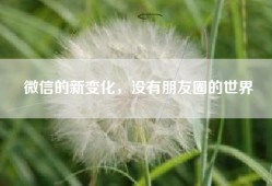 微信的新变化，没有朋友圈的世界