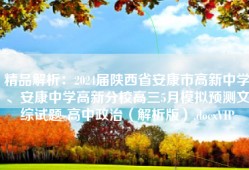 精品解析：2024届陕西省安康市高新中学、安康中学高新分校高三5月模拟预测文综试题-高中政治（解析版）.docxVIP