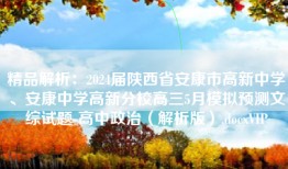 精品解析：2024届陕西省安康市高新中学、安康中学高新分校高三5月模拟预测文综试题-高中政治（解析版）.docxVIP
