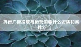 抖音广告投放与运营需要什么资质和条件？