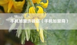 手机加盟连锁店（手机加盟商）