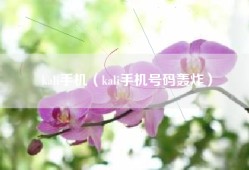 kali手机（kali手机号码轰炸）
