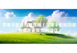 苹果手机返回键在哪（苹果手机返回键在哪里设置,如何操作）