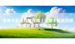 苹果手机返回键在哪（苹果手机返回键在哪里设置,如何操作）
